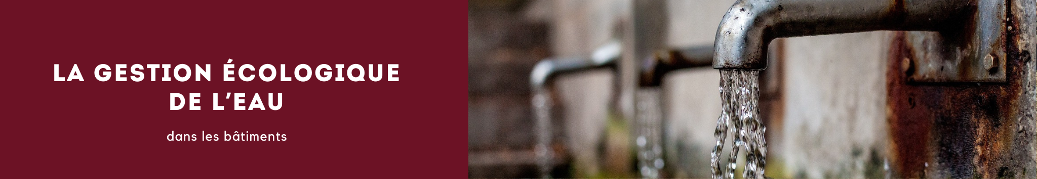 La gestion écologique de l’eau dans les bâtiments